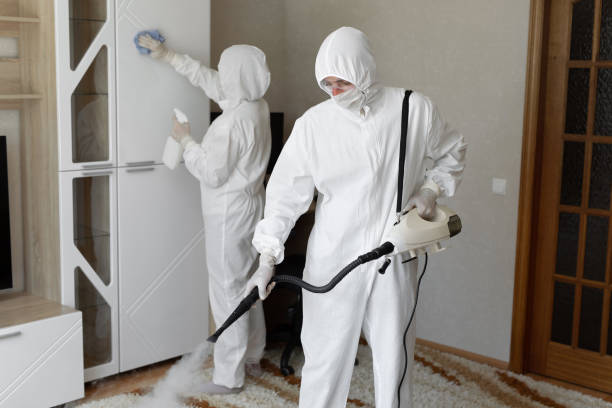Professional Mold Removal in Ravenel, SC