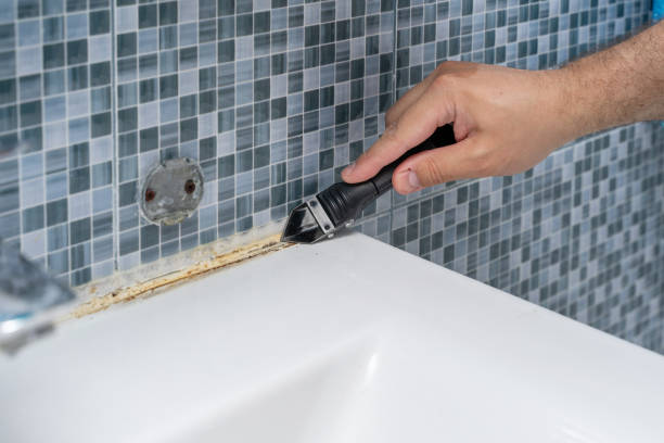 Best Mold Remediation  in Ravenel, SC